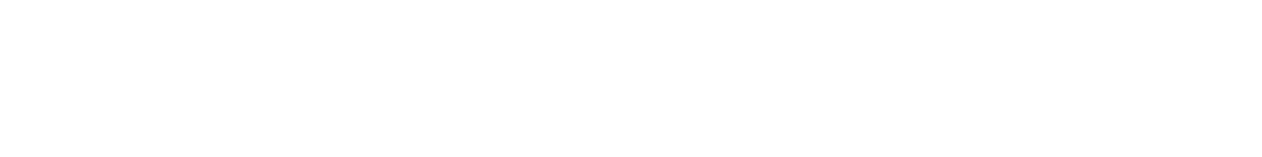 ano BONE BORN BOMB TOUR